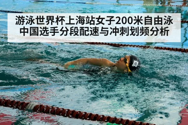 competitive swimmer freestyle stroke pool